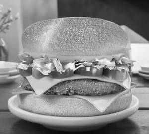Veg Cheese Burger