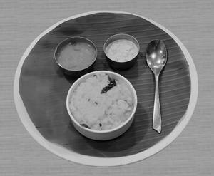 Pongal