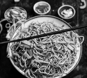 Chicken Hakka Noodles