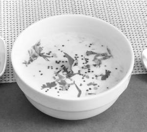 Curd Rice