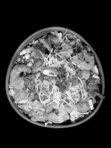 Mixed Non-veg Soft Noodles