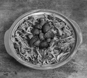 Mushroom Noodles  