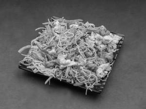 Chicken noodles