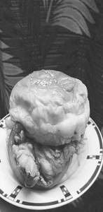 Magic Chicken Burger
