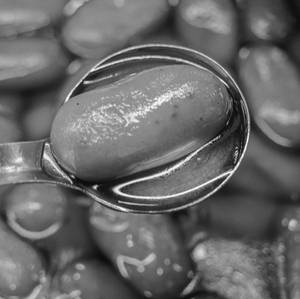 Long Jamun