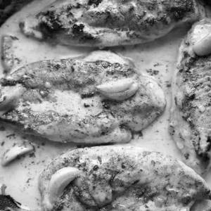 Creamy Grill Chicken