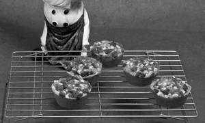 Choco Chip Crumb Cake Pieces