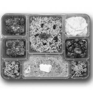Composite Fusion Meal