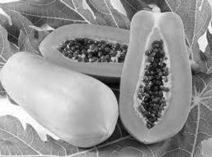 Papaya  (750ml)
