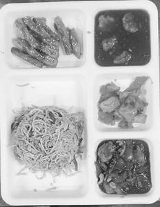 Special Non Veg Chinese Platter