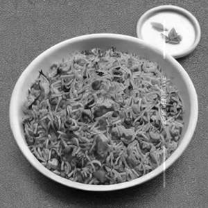 Swagath Special Fried Rice
