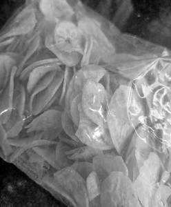 Banana Chips Salt