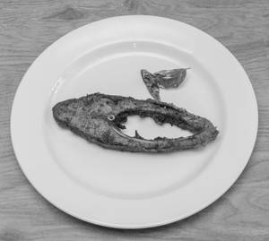 Fish Fry