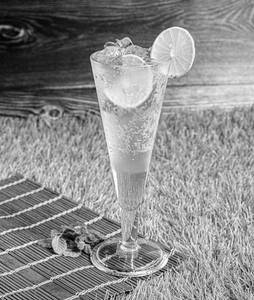 Mint Mojito