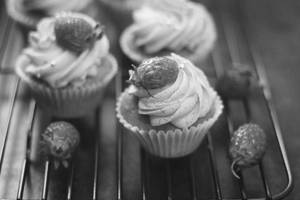 Strawberry Cupcakes (big)