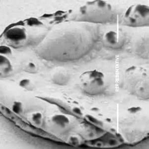 Tandoori Roti Plain