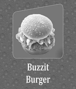 Buzzit Burger