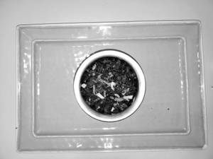 Chicken Manchurian
