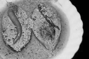 Hilsa Vapa (1 Pc)