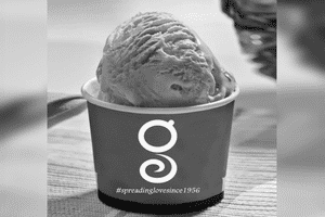 Gianis Special Ice Cream (no Added Sugar)