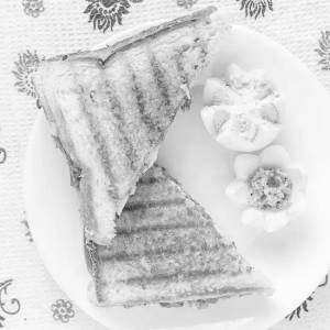 Tomato Onion &cheese Sandwich