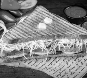 Special Veg Cheese Grilled Sandwich
