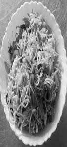 Chilli Garlic Noodle