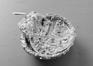 Naan