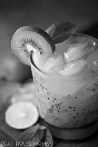 Kiwi Ice Crusher