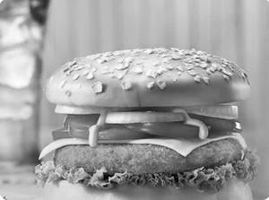 Spicy Treat Burger