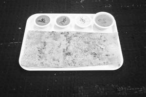 Ghee Rava Dosa