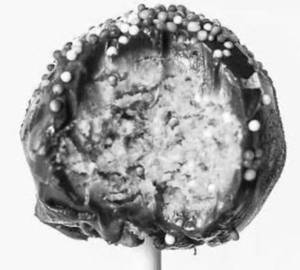 Cake Pop                                                             