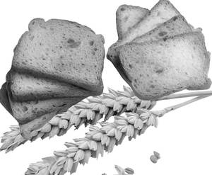 Wheat Rusk (200 Gms)