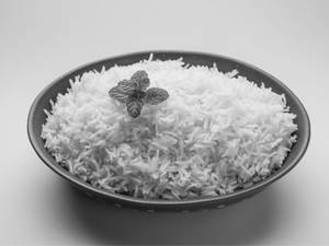 Plain Rice