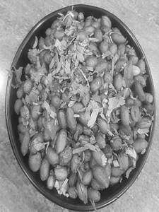 Peanut Salad