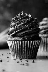 Chocolate Cupcakes