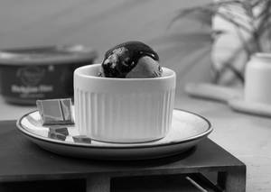 Belgian Bite Chocolate Ice Cream
