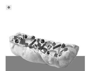 Spicy Chicken Foot Long (6 Inch)