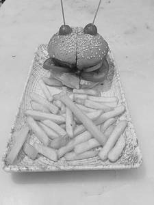 Chipotle Paneer Burger