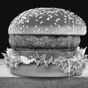 Veg Cheese Burger