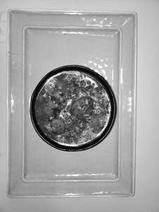 Paneer Manchurian