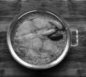 Fish Handi