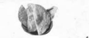Roasted Papad