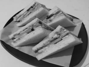 Plain Veg Sandwich