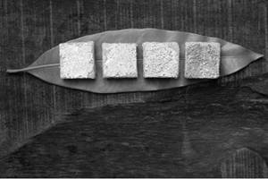 Milk Burfi