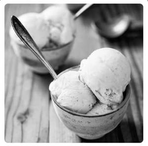 Dumont Vanilla Ice Cream