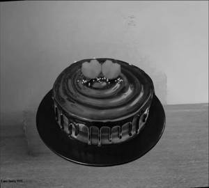 Chocolate Truffle Cake                                                       