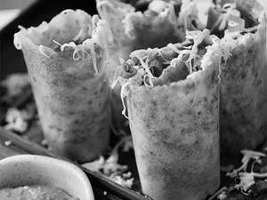 Jini Dosa