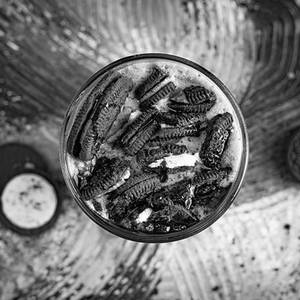 Oreo Mint Crumble Shake
