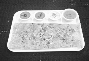 Onion Rava Dosa